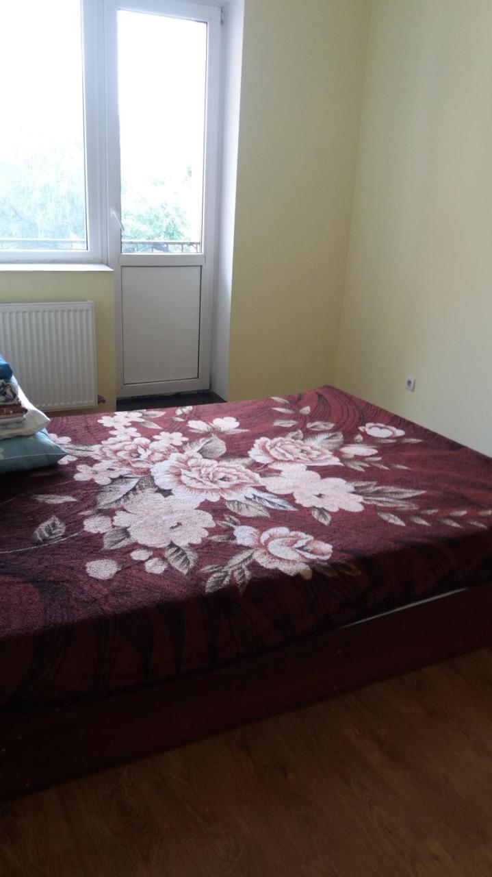 3-К Квартира Apartment Ivano-Frankivs'k Ngoại thất bức ảnh